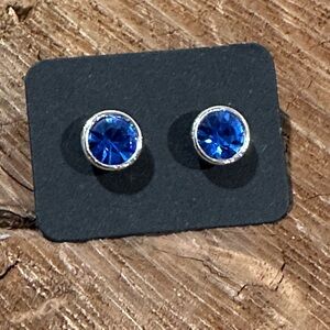 Forever 21 Silver and Blue Stud Earrings